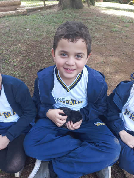 Bicho Mania 2022